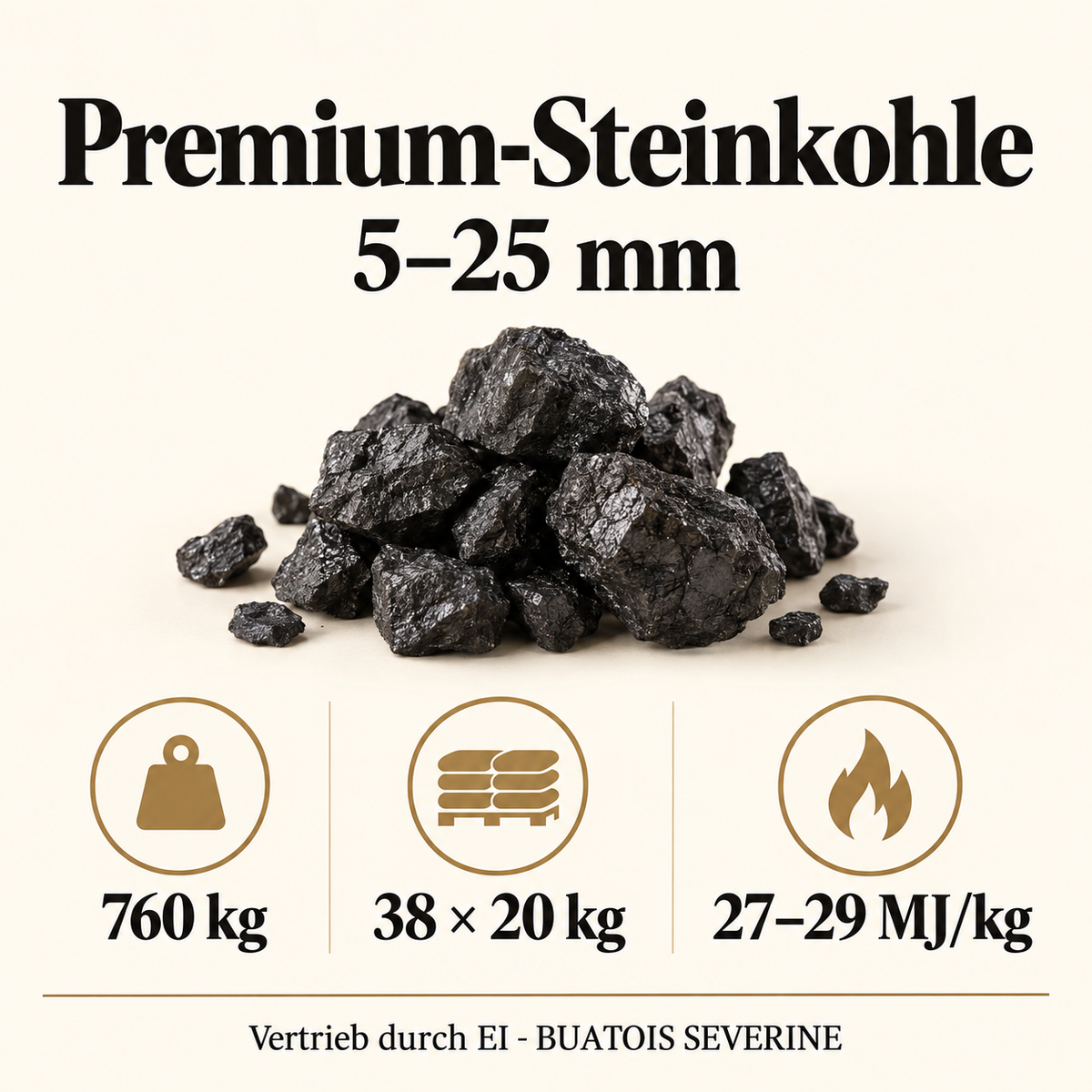 Premium-Steinkohle 5–25 mm – Palette 760 kg