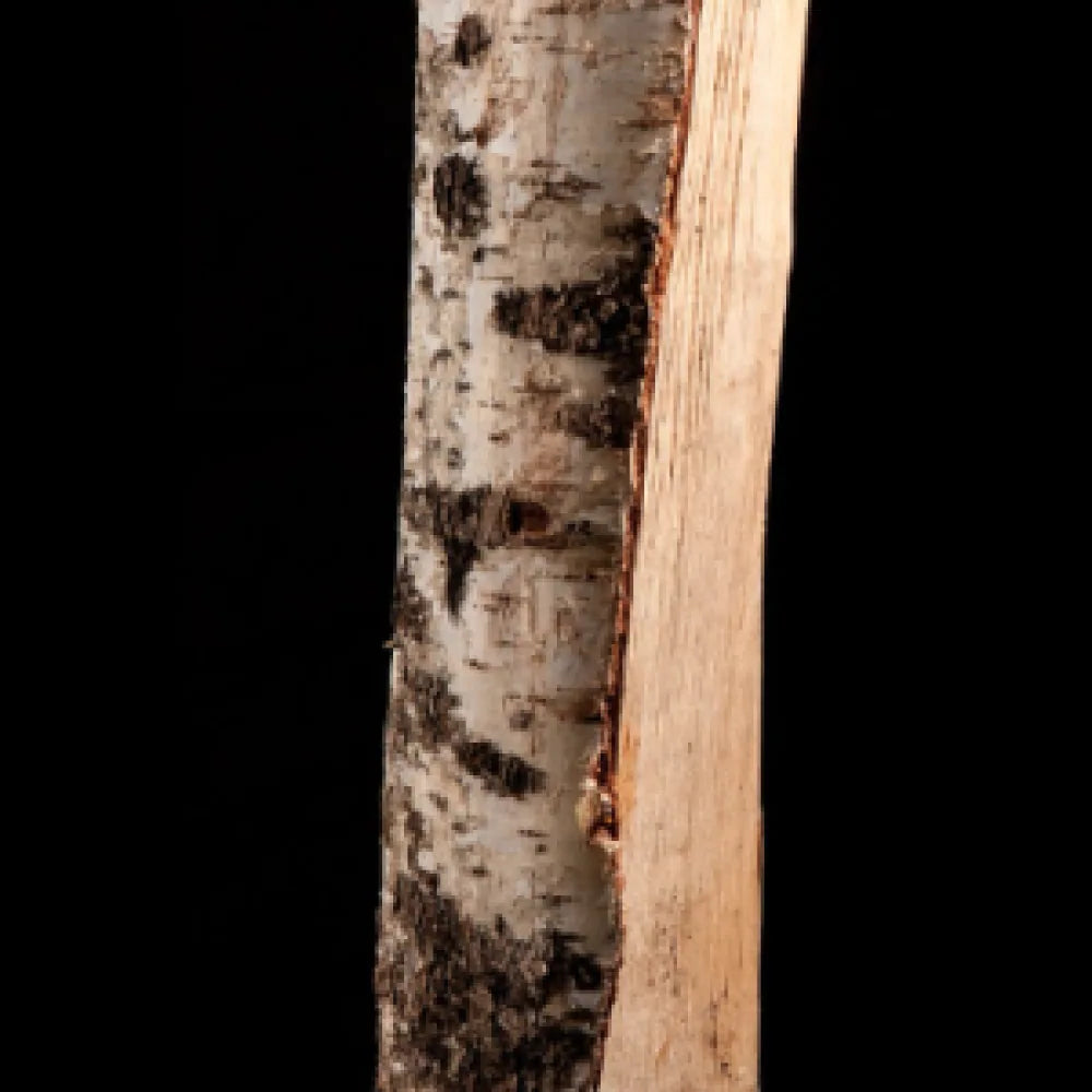 Birkenbrennholz, 25 cm – 15 Säcke à 8 kg